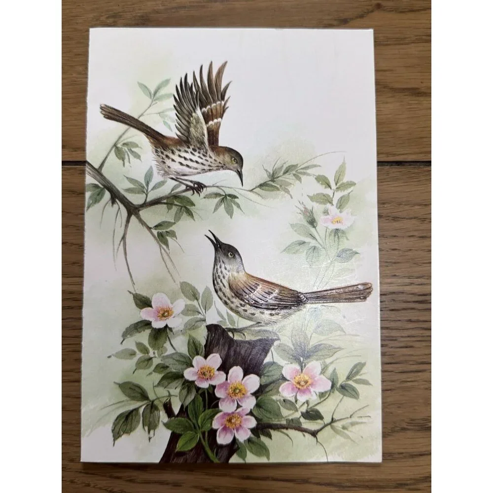VTG‎ A Sunshine Card Birds Embossed Made In USA Nature Country READ